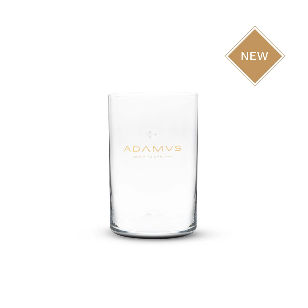 Adamus Highball Glass
