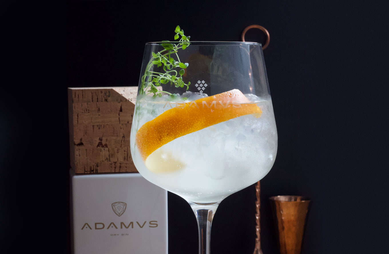 Adamus Dry Gin - Cocktail of the Month: January
