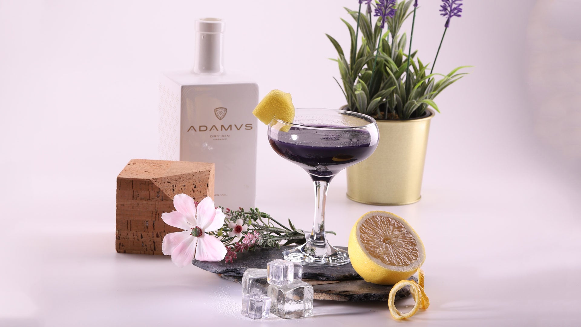 adamus_aviation_cocktail
