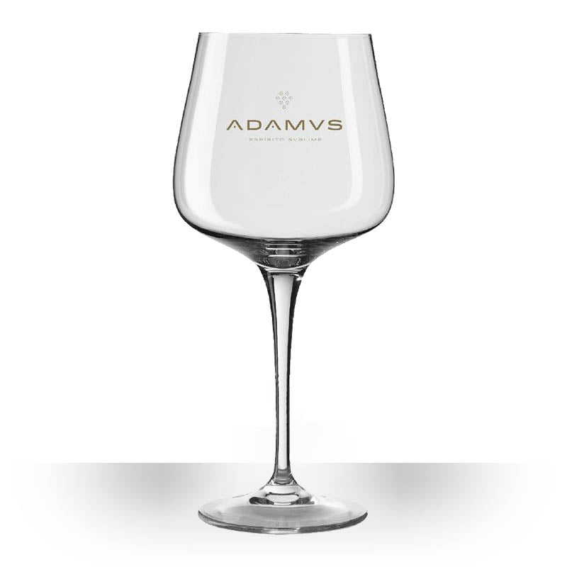 Pack of 4 Adamus Organic Dry Gin Glass